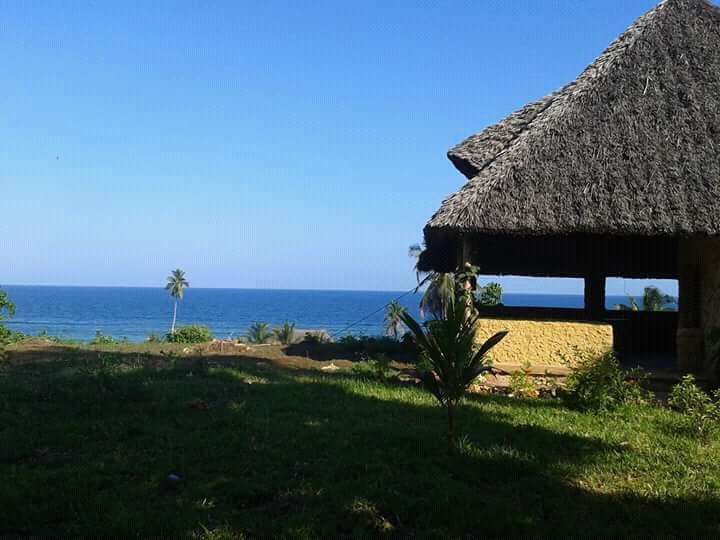 Mango Kenya Kisimachande