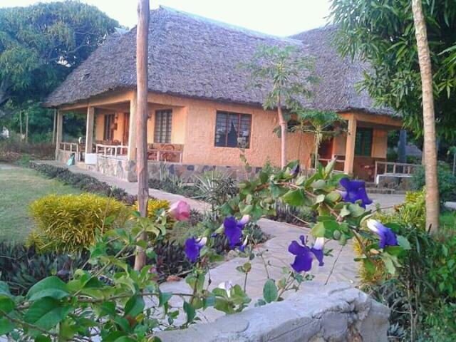 Lodge Mango Kenya